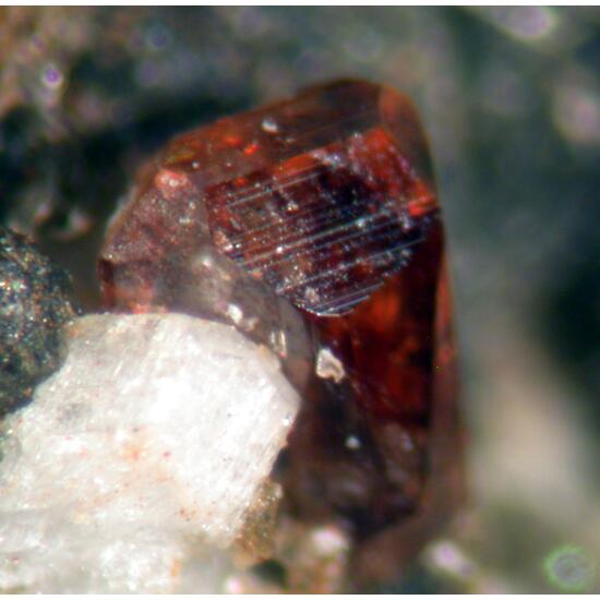 Anatase Sagenite & Muscovite