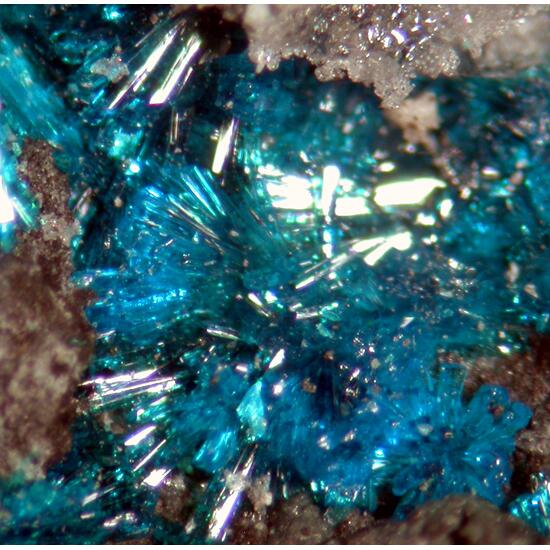 Chalcomenite & Atacamite