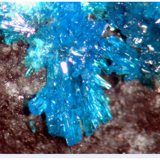 Chalcomenite & Atacamite