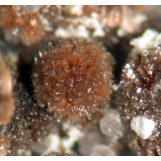 Roscherite Fluor-elbaite & Autunite