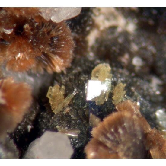 Roscherite Fluor-elbaite & Autunite