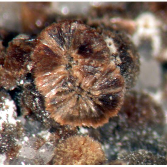 Roscherite Fluor-elbaite & Autunite