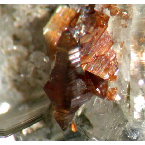 Anatase Quartz Brookite & Pennine