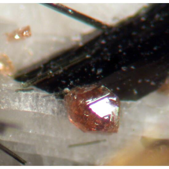 Titanite & Ferrokentbrooksite