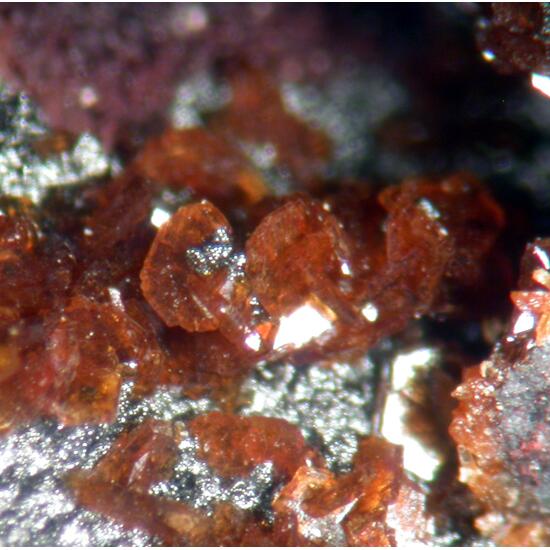 Jarosite & Kidwellite
