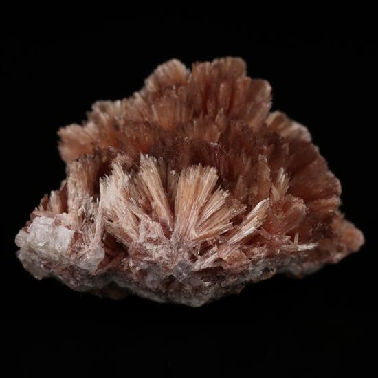 Inesite On Baryte