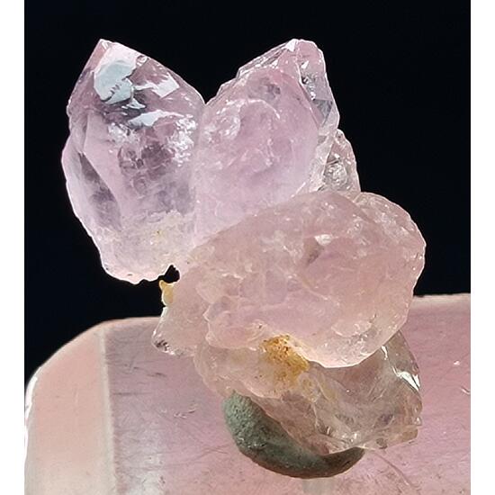 Rose Quartz