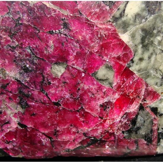 Eudialyte