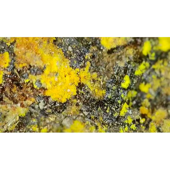 Uraninite