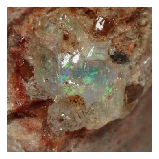 Opal