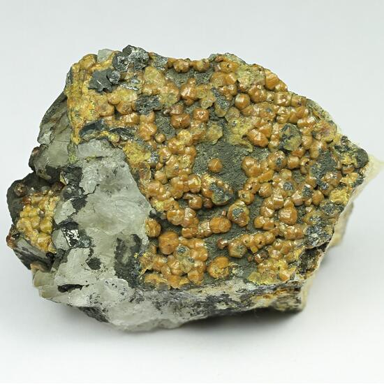 Campylite