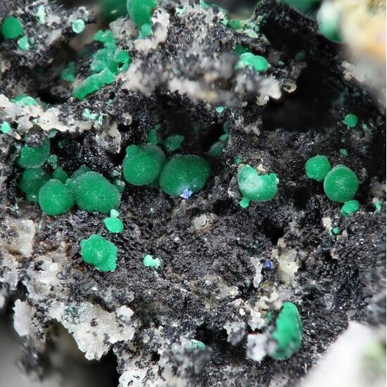 Azurite With Malachite