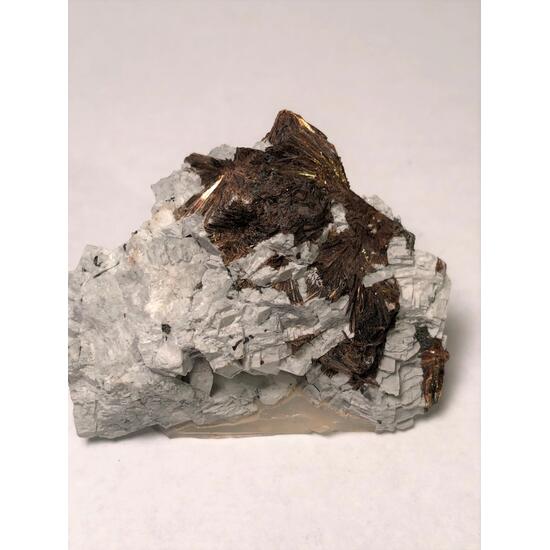 Astrophyllite