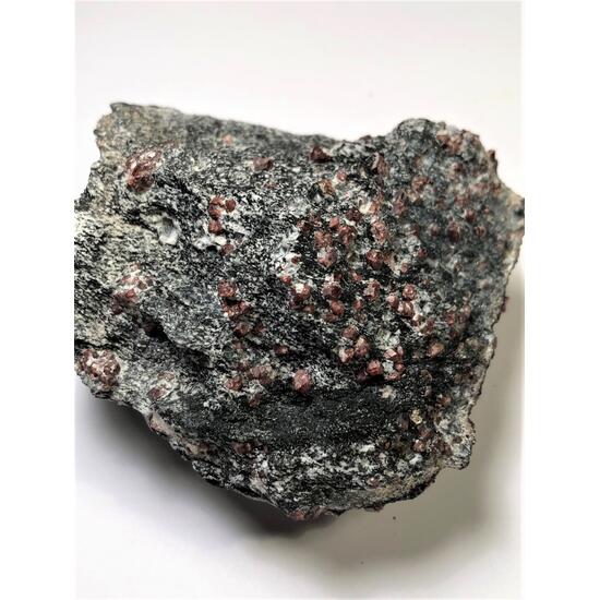 Almandine In Gneiss With Feldspar