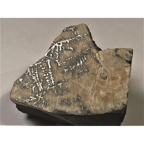 Silver In Calcite