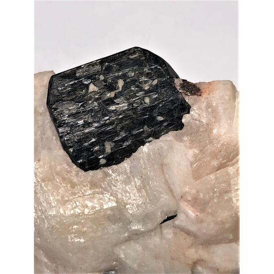 Fluoro-richterite