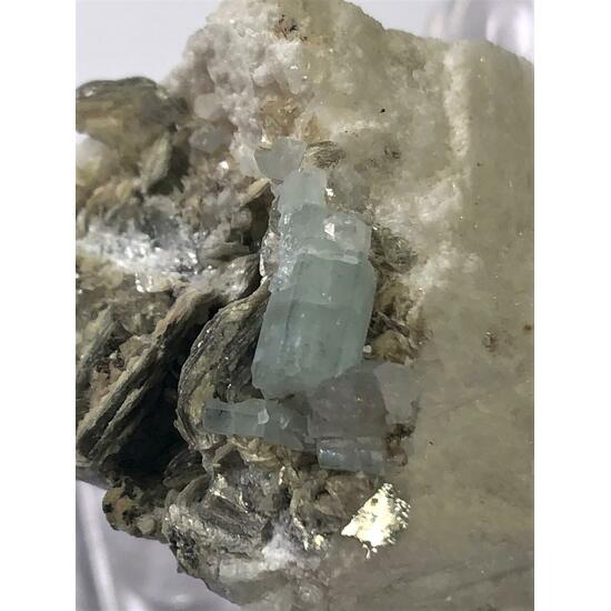 Apatite On Albite