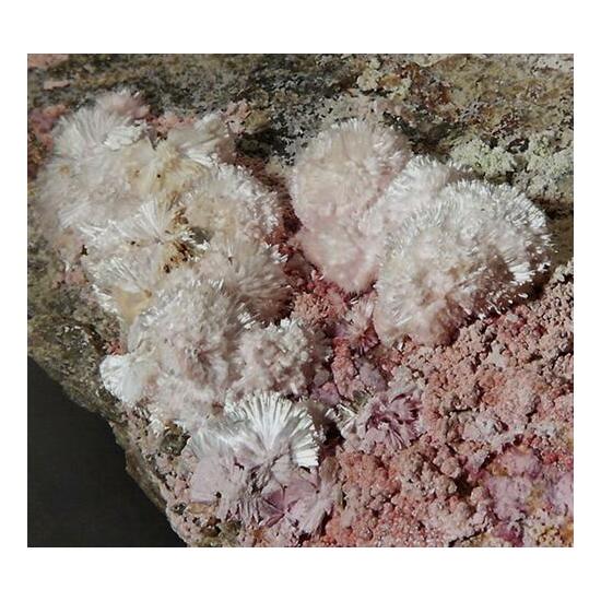 Pharmacolite & Erythrite