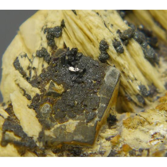 Xanthoconite & Proustite On Baryte