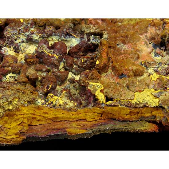 Goethite Psm Wood