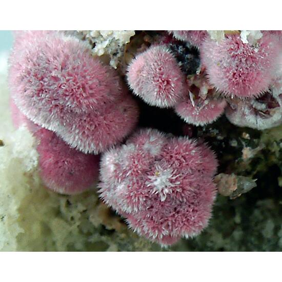 Erythrite On Quartz