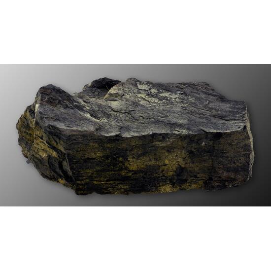 Uraninite Coal