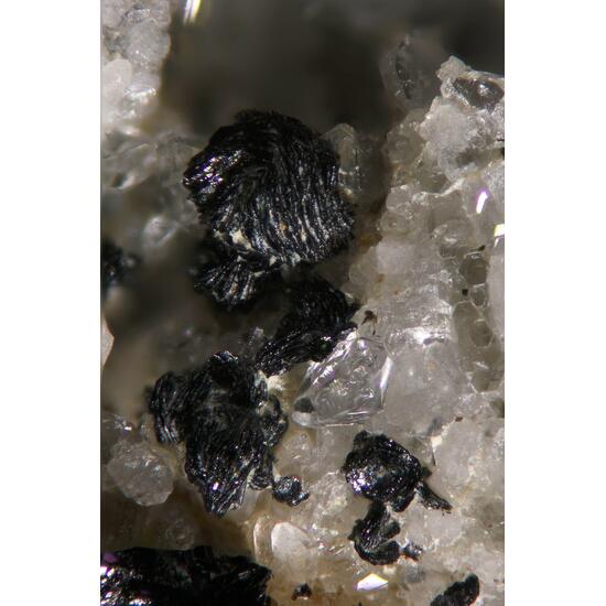 Deveroite-(Ce) & Cervandonite-(Ce)