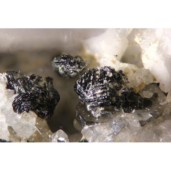 Deveroite-(Ce) & Cervandonite-(Ce)