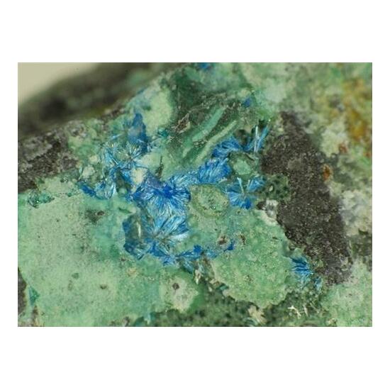 Connellite