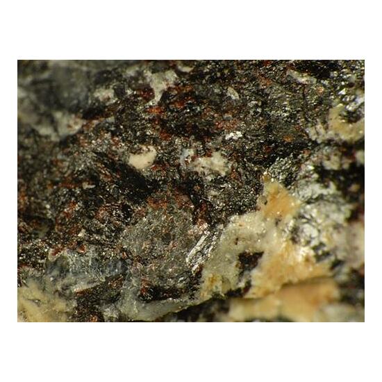 Neptunite & Rhabdophane-(Ce)