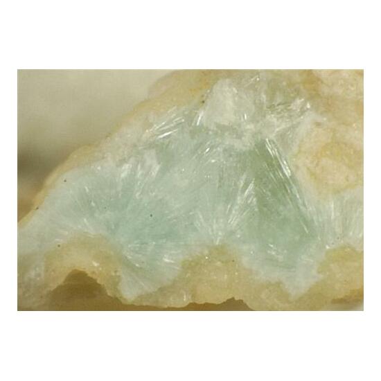 Plumbophyllite