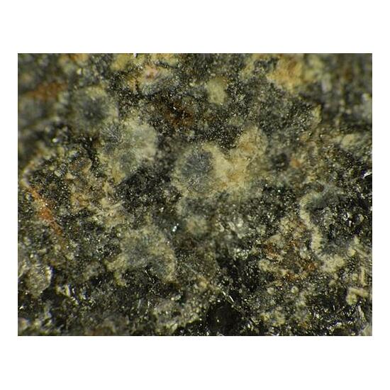 Beyerite