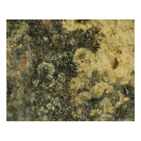 Beyerite