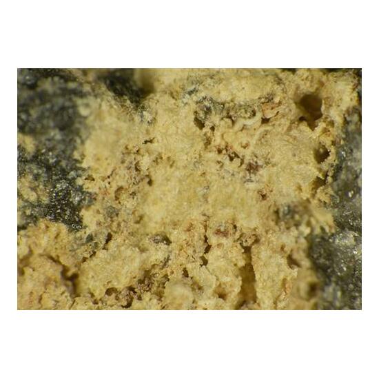 Beyerite