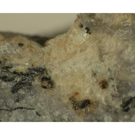 Nacareniobsite-(Ce)