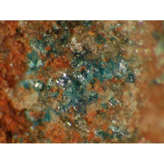 Pseudoboleite