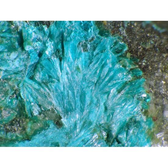 Tangdanite