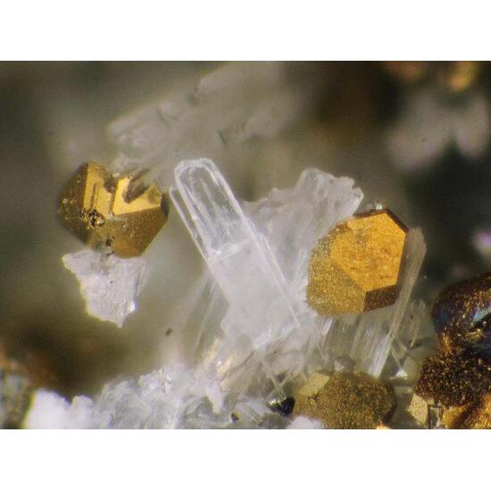 Dachiardite-Na Analcime & Pyrite