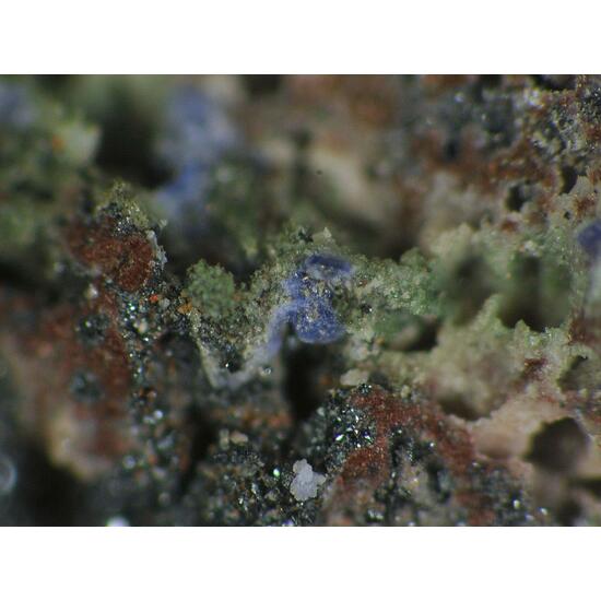 Shchurovskyite & Johillerite