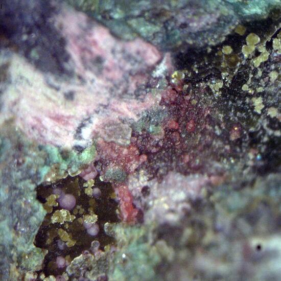 Spherocobaltite