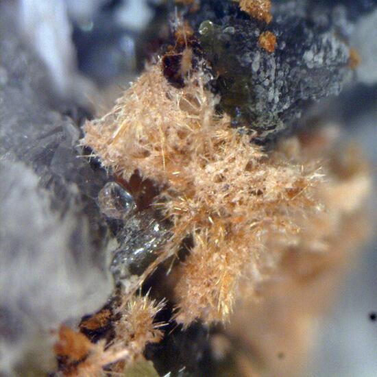 Ruizite & Cerchiaraite-(Mn) & Pectolite