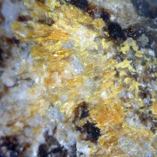 Sarkinite