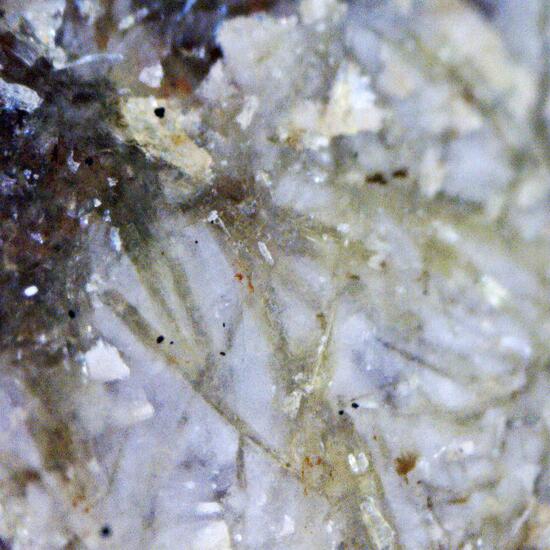 Sarkinite