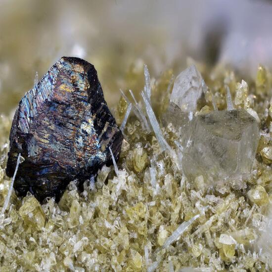 Pumpellyite & Chalcopyrite & Epidote