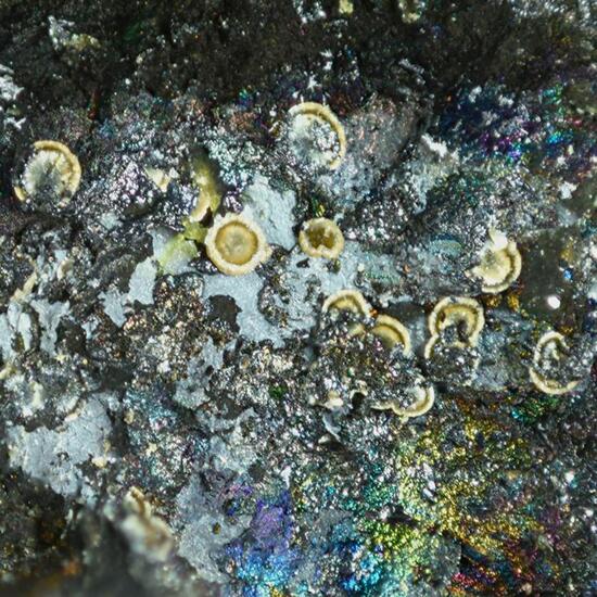 Kolwezite