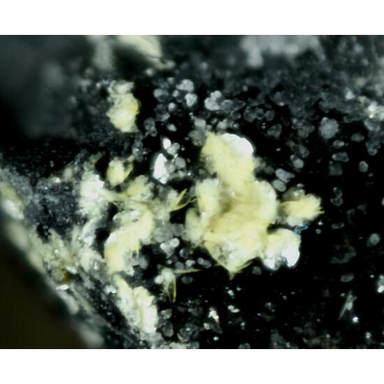 Ecdemite Var Heliophyllite
