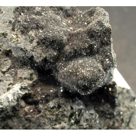 Magnesio-hastingsite & Phlogopite