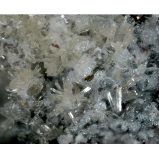 Topaz & Cristobalite & Pseudobrookite