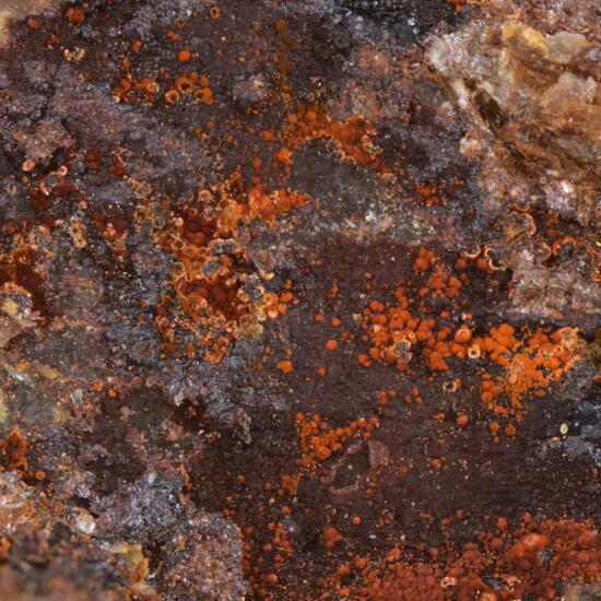 Lepidocrocite