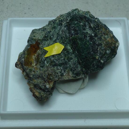 Pecoraite